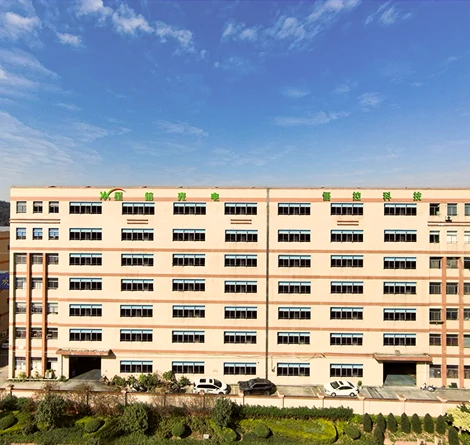 Industrial building of a professional fan light production company