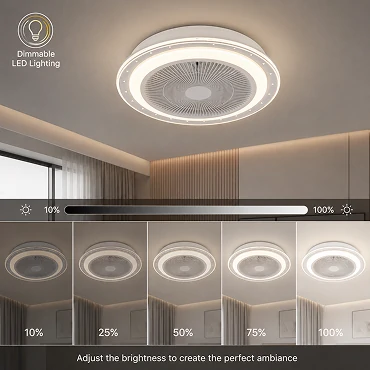 20 inch flush mount ceiling fan with dimmable LED lighting showing adjustable brightness and color temperature options