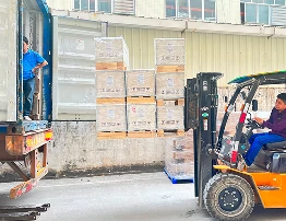 Organized ceiling fan shipment preparation and logistics management supporting reliable production lead times.