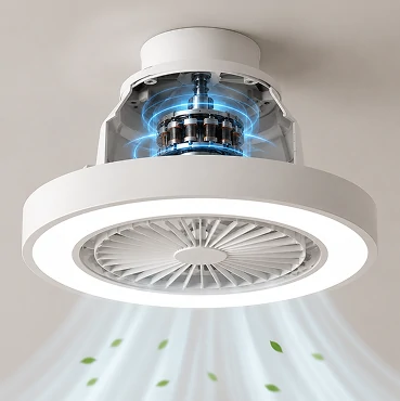 Smart flush mount ceiling fan with LED lighting showing DC motor efficiency and adjustable lighting and airflow control features