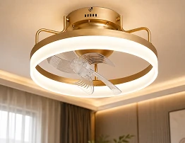 OEM ODM custom ceiling fan light solutions for global brands distributors and private label projects