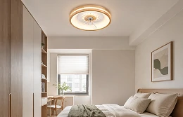 Minimalist ceiling fan light configuration for an apartment bedroom