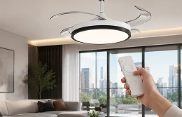 Ceiling fan light control system with remote operation options