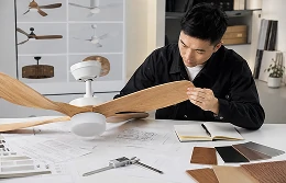 Quality review of a patio ceiling fan light for structure and functional requirements