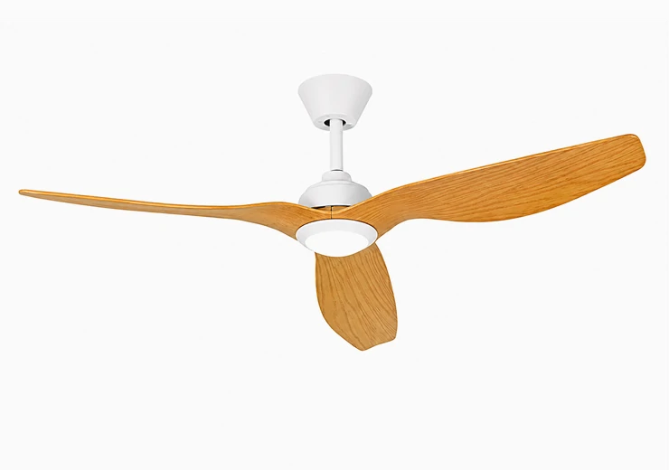 Private label ceiling fan light prepared for customized outdoor product sourcing